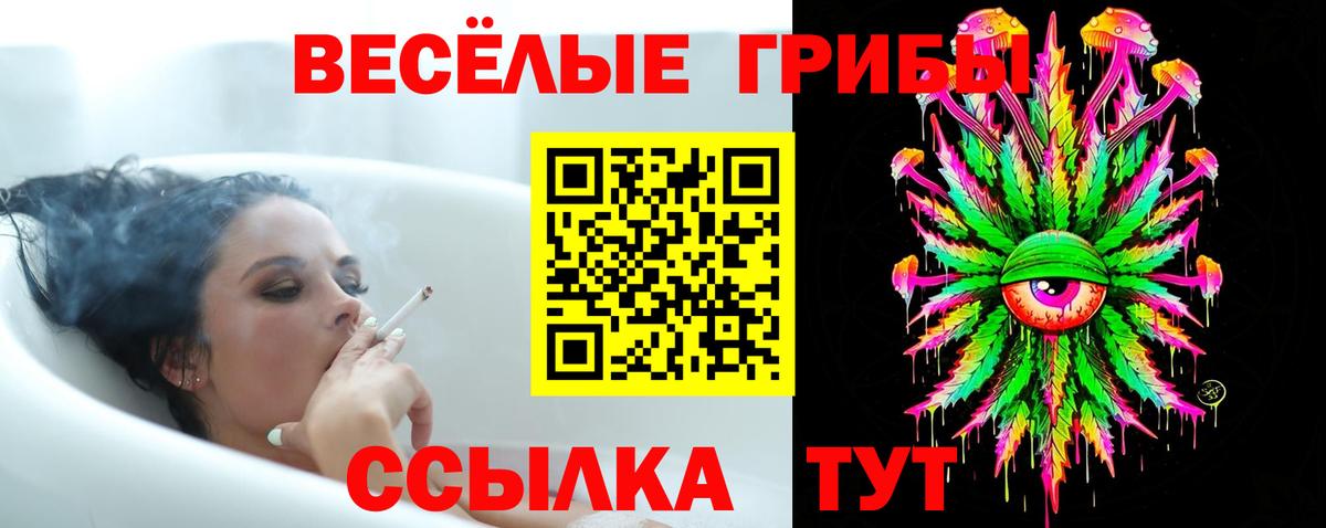 Галлюциногенные грибы Psilocybe Ростов Великий