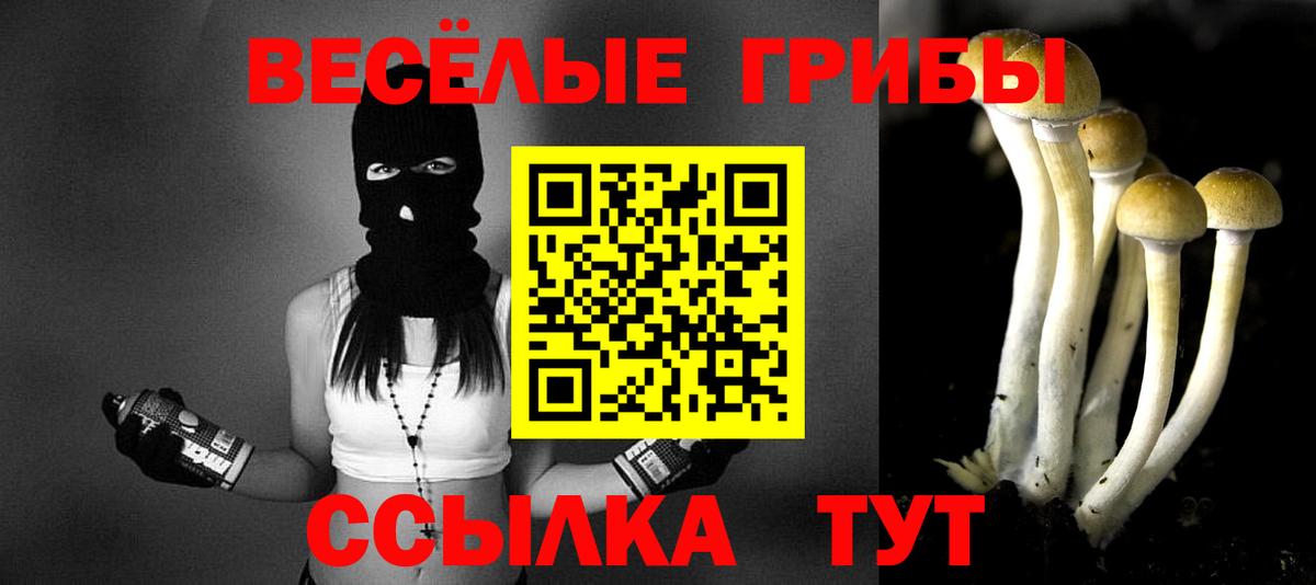 Галлюциногенные грибы Cubensis  Вход с VPN  Ростов Великий 